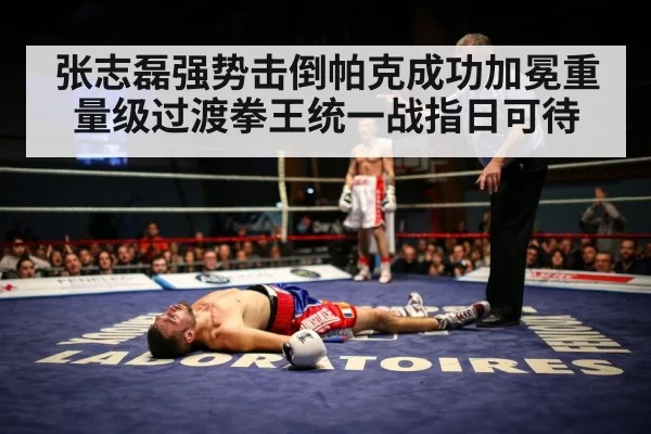 张志磊强势击倒帕克成功加冕重量级过渡拳王统一战指日可待